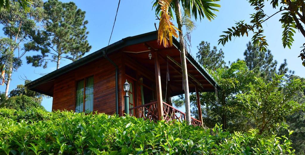 Ella Mount Relax Cottage Kültér fotó